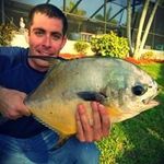 Paul Celaya - @paulcelaya - Instagram