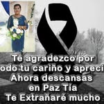 Paul Celi - @paul.celi.39 - Instagram