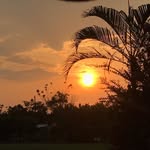 PAUL CELI - @paulceli3 - Instagram