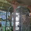 Paulicelli - @thx252 - TikTok
