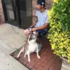 Paul Cerullo - @jdmsnail98 - TikTok