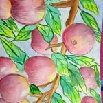 Paul Chacko - @chacko611 - Instagram