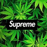 Paul Chadaj - @paulchadaj_ad - Instagram