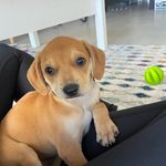 Paul Chalupa - @chalupa.son - Instagram
