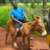 Paul chama - @46976chama - TikTok