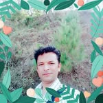 Paul Chand - @paulchandchand - Instagram