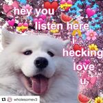 Paul Chaput - @sadapplepaul - Instagram