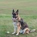 Paul Cheadle - Facebook