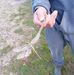 Paul Cheeseman - Facebook