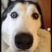 Paul Chek - Facebook