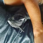 Пауль Челябинский - @paul.cheliabinskii - Instagram