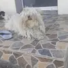 Paul Chelie - @paulchelie - TikTok