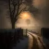 Paul Chevrier - @paul.chevrier - TikTok
