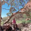 Paul Chilton - @paul.chilton5 - TikTok