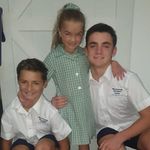 Paul Cicchini - @cicchinipaul - Instagram