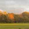 Pauline Cichy - @paulinecichy - TikTok