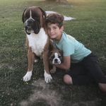 Paul CILLO - @paulcillo71 - Instagram
