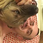 Paul Clarkson - @paul.clarkson.35380 - Instagram
