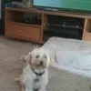 Paul Cleary845 - @paulcleary845 - TikTok
