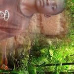 Paul clementi sengeka - @paulclementisengeka - Instagram