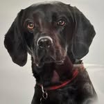 Paul Clews - @paul.clews - Instagram