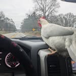 Paul Closser - @paulclosser - Instagram