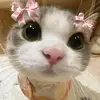 Paul - @paulcloud5 - TikTok