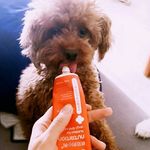 Paulcloud - @paulclouddy - Instagram