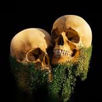 Paul Cloutier - @paulcloutier46 - Instagram