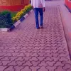 Paul Clowy - @paulclowy1 - TikTok