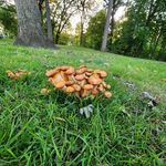 Paul Coakley - @smokley.1 - Instagram