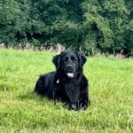 Paul Collier - @paul.collier.8643 - Instagram
