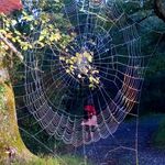 Paul Combes - @paul.combes.14 - Instagram