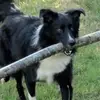 Paul Combes - @paul.combes6 - TikTok