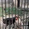 Paul Comes - @vickyliska66 - TikTok