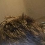 Paul Condie - @condiepaul7 - Instagram