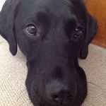 Paul Condie - @paulcondie87 - Instagram