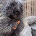 Paul Conlan - Facebook