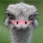 paul t conners - @paultconners - Instagram