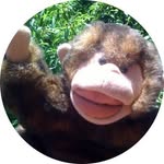 Paul Constant - @paulconstant - Instagram