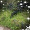 Paul Coogan465 - @user9488258600410 - TikTok