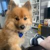 paulcoogan528 - @paulcoogan528 - TikTok