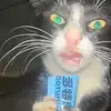 pauliskewler - @pauliscool48 - TikTok