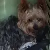 Paul Coombes - @paul.coombes2 - TikTok