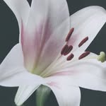 Paul coote - @coote.p - Instagram