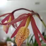 Paul Coote - @paul.coote.31 - Instagram