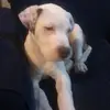 Paul Corea Gamboa - @paul.corea.gamboa - TikTok