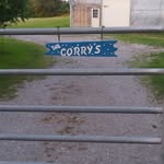 Paul Corry - @paul.corry.969 - Instagram