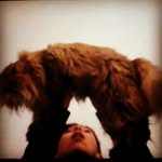 Paul corsica - @paul_corsica_ - Instagram