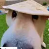 paulcortez716 - @paulcortez716 - TikTok